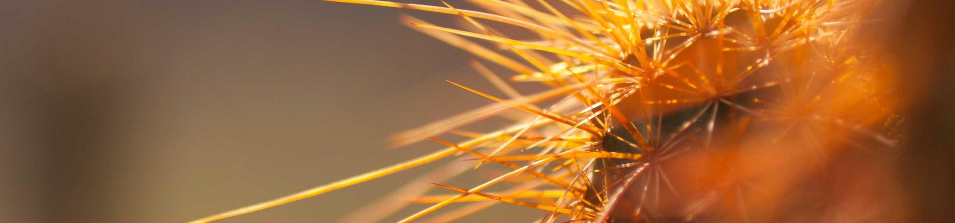 东莞大为装饰工程有限公司 &middot; 杭州运营中心